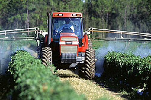 A crop being sprayed
